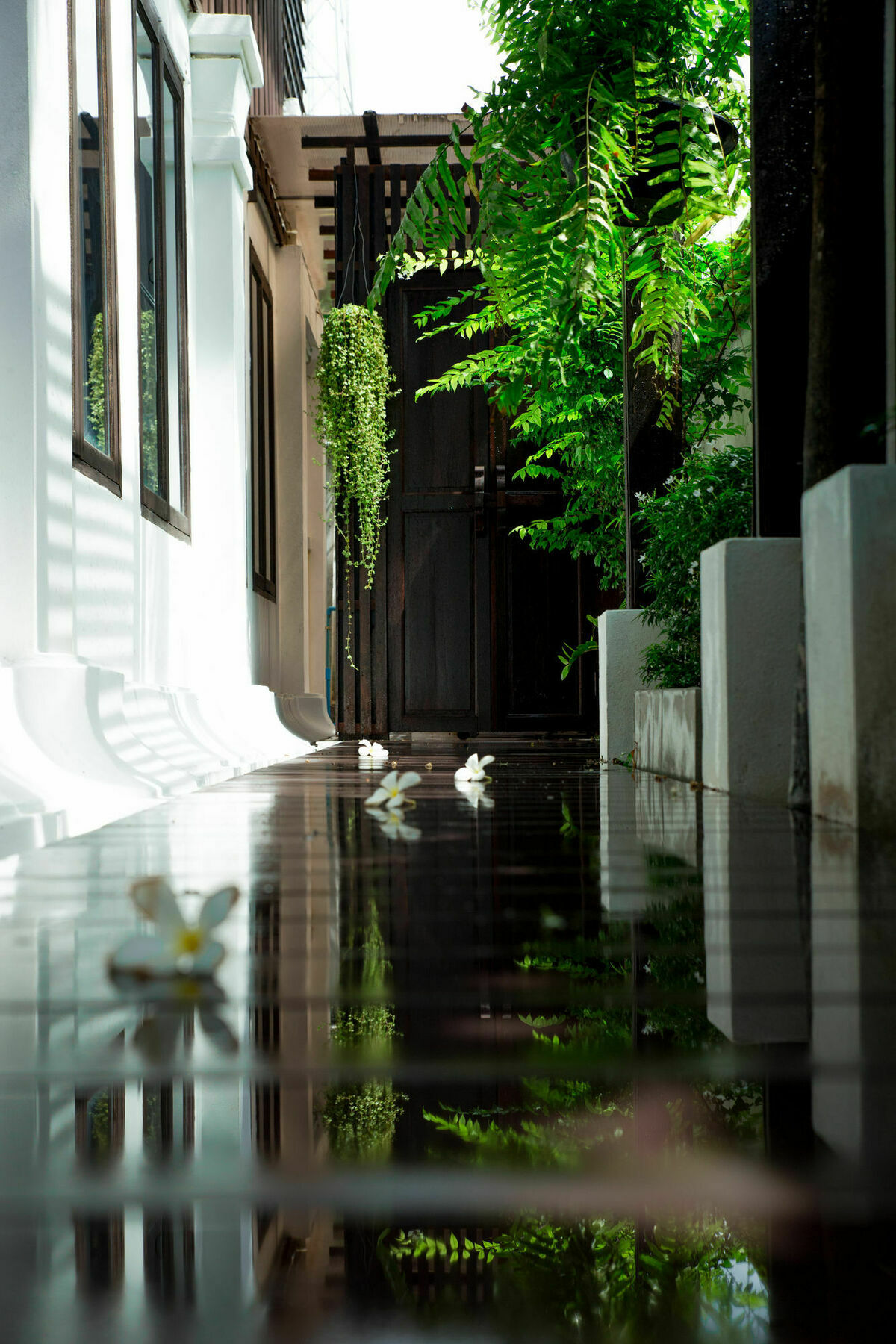 Rachamankha Thai Villa Чіангмай Екстер'єр фото